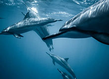 开云app下载-网坛群星致敬马拉多纳 纳达尔：他的成就永存于世